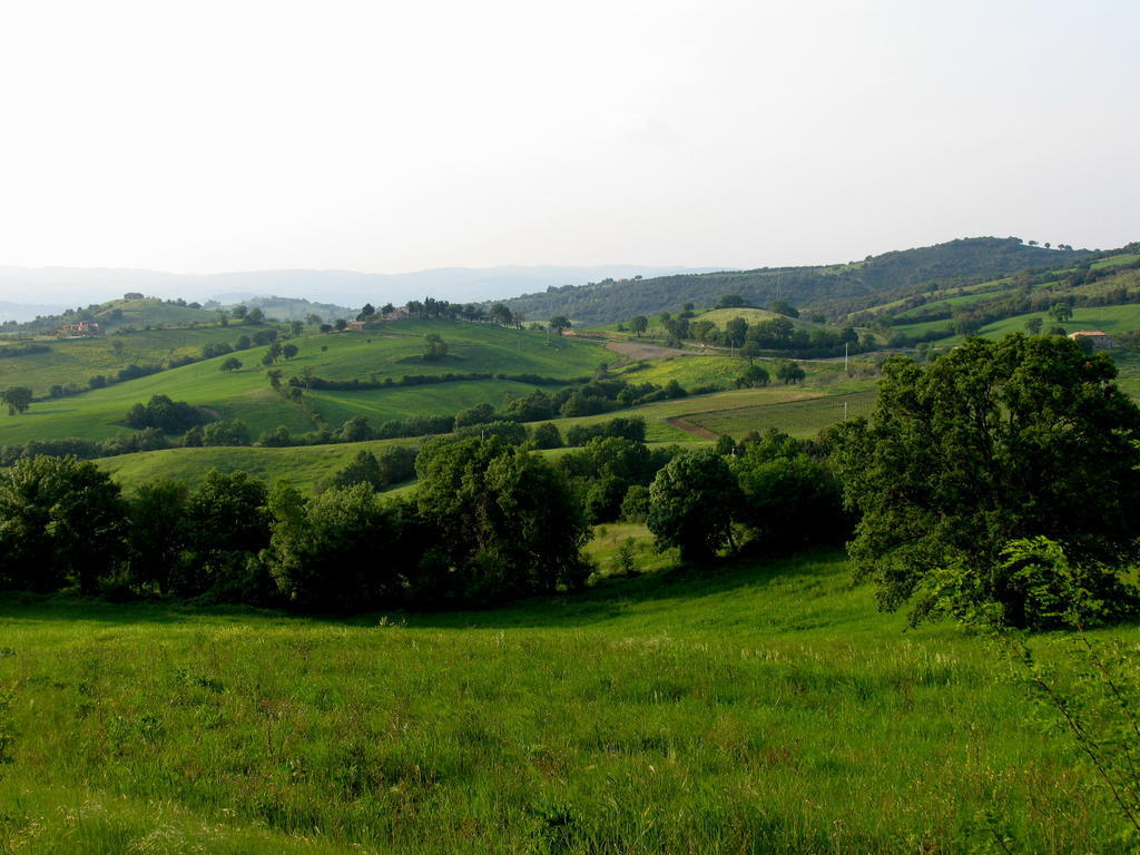 Poggio Della Quercia Villa Manciano Exterior foto